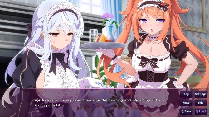 Sakura Succubus 9 