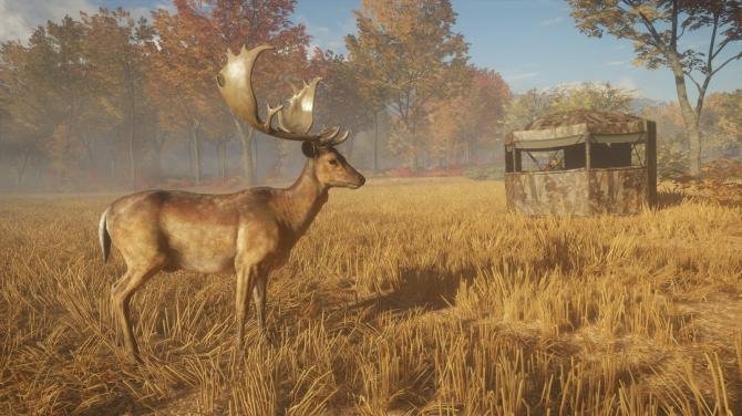 theHunter: Call of the Wild - Seasoned Hunter Bundle 