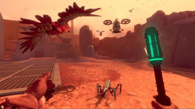 Falcon Age 