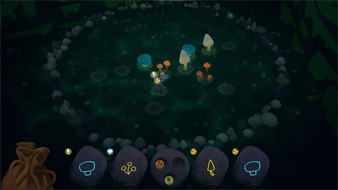 Fairy Circle 
