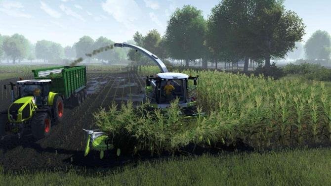 Cattle and Crops 