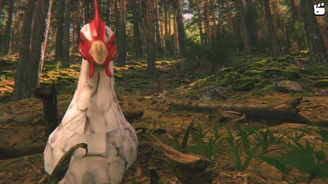 Catch the Chiken 
