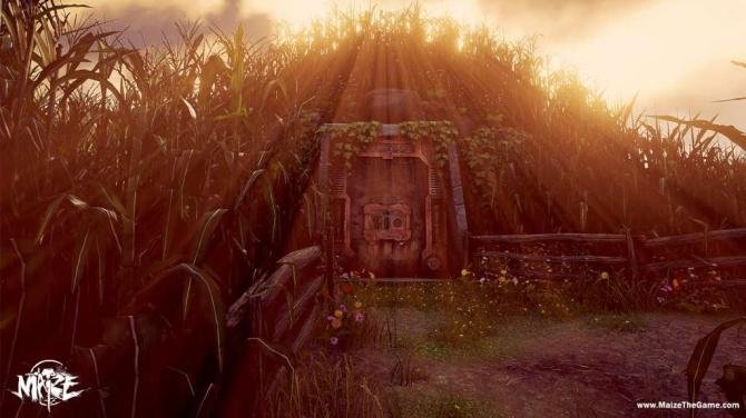 Maize 