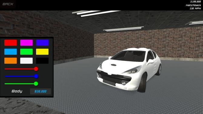 Race 