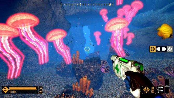 Deep Diving Adventures 