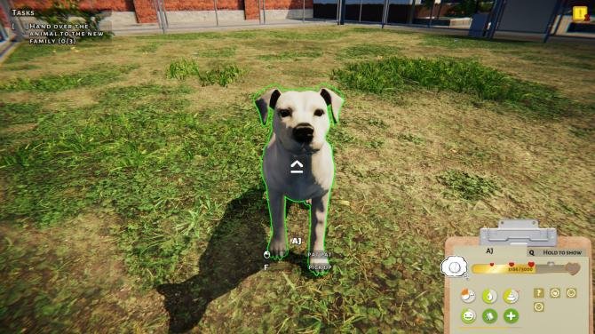 Animal Shelter 