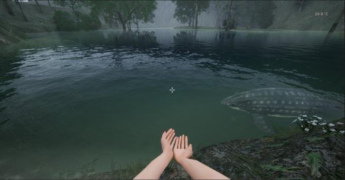Shallow Sea Roaming 