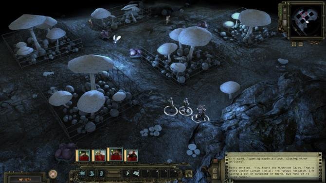 Wasteland 2: Director's Cut 