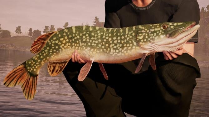 Fishing Sim World: Pro Tour Deluxe Edition European Union 