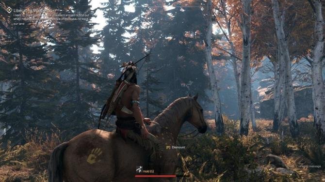 This Land Is My Land 