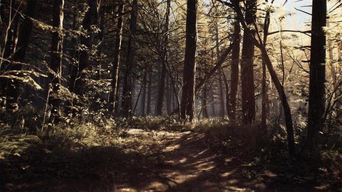 Blair Witch 