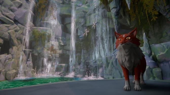 Warrior Cats: Clans of the Forest Feral Edition 