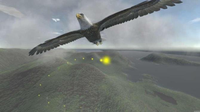 Aquila Bird Flight Simulator 