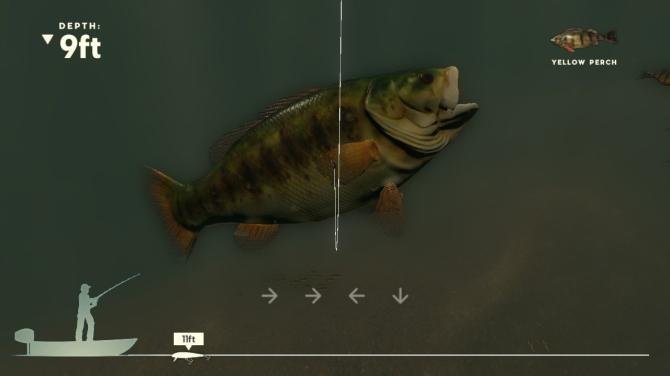 Rapala Fishing Pro Series 
