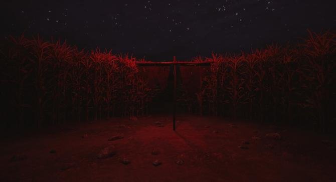 CornField 
