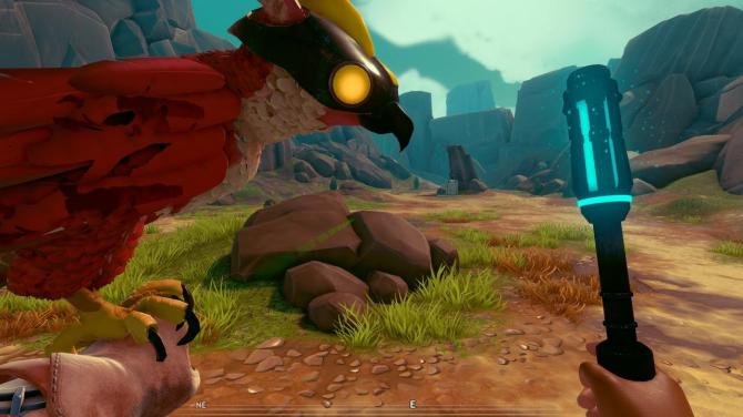 Falcon Age 
