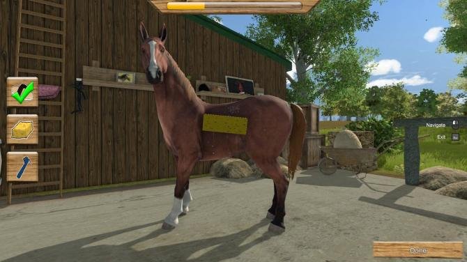 My Little Riding Champion 