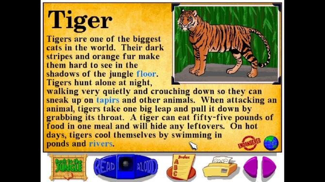 Let's Explore the Jungle (Junior Field Trips) 