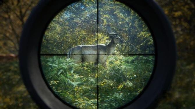 theHunter: Call of the Wild - 2022 Edition 