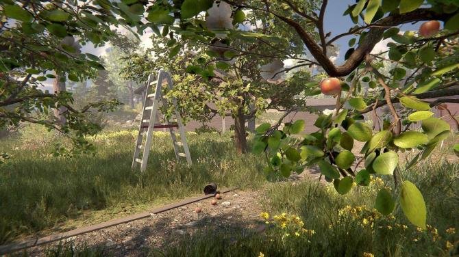 Rancher: A new life 