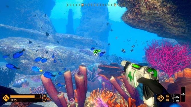 Deep Diving Adventures 
