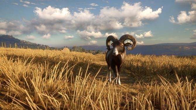 theHunter: Call of the Wild Diamond Bundle 