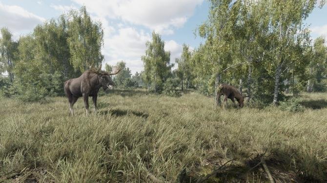 On the Hunt 