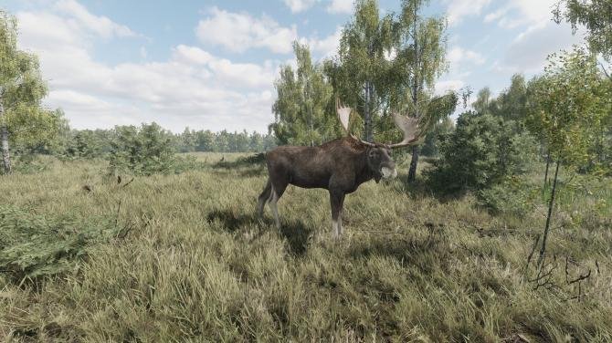 On the Hunt 