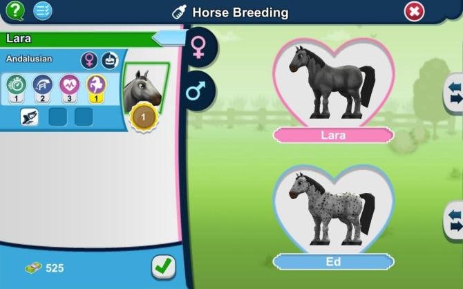Horse Farm 