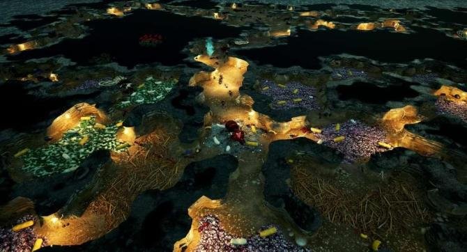 Empires of the Undergrowth 