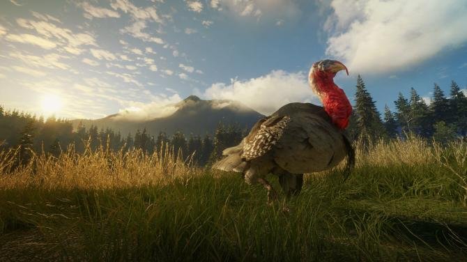 theHunter: Call of the Wild Gold Bundle 