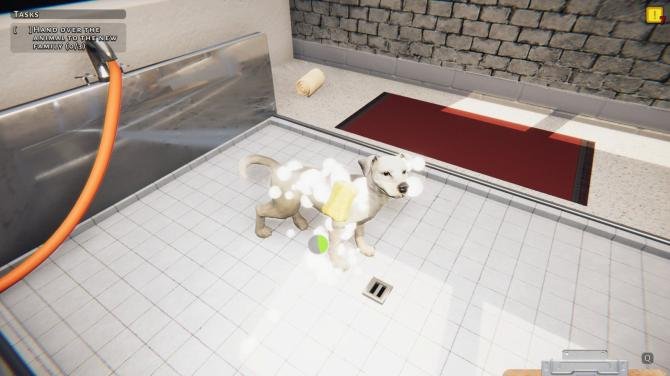 Animal Shelter 