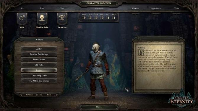 Pillars of Eternity Definitive Edition 