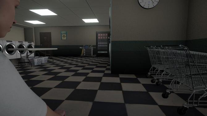 Laundromat Anomaly 