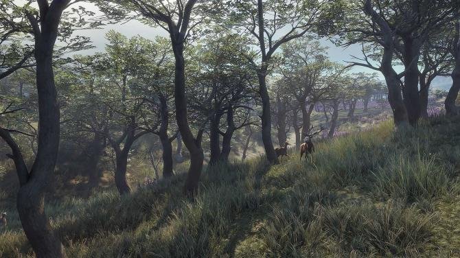 theHunter: Call of the Wild Diamond Bundle 