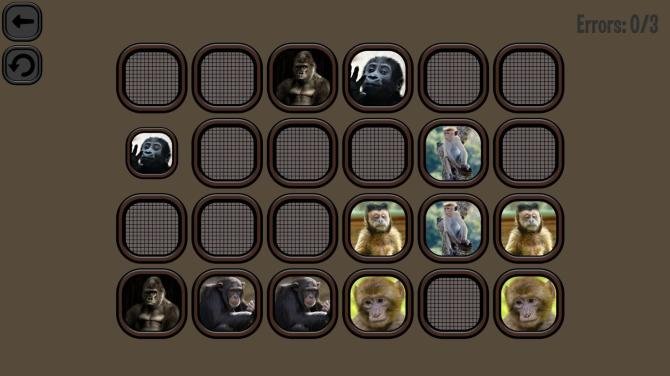Animals Memory: Monkeys 