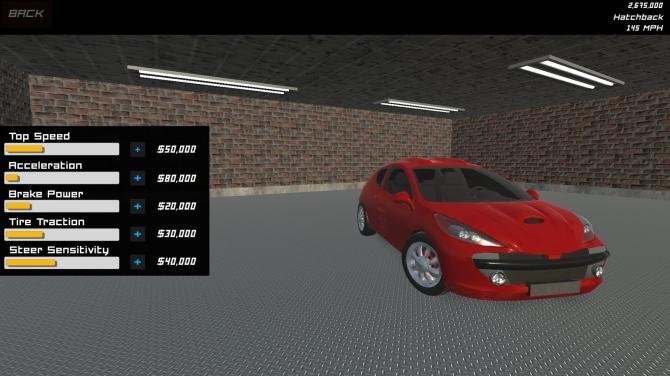 Race 