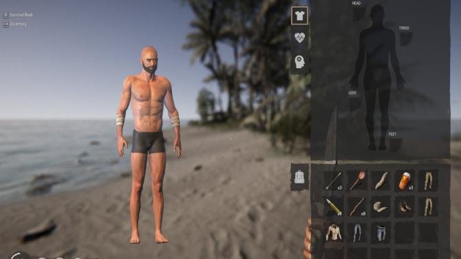 Project Castaway 