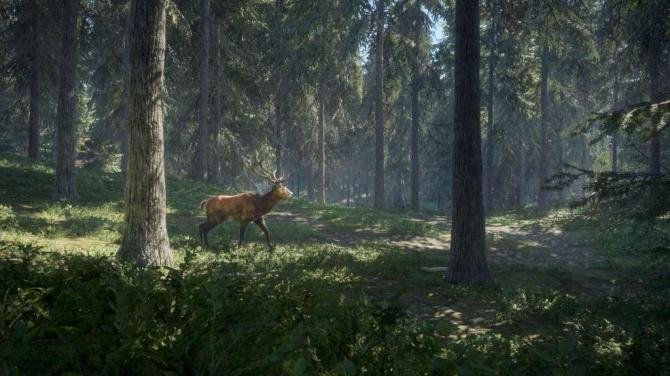 theHunter: Call of the Wild 