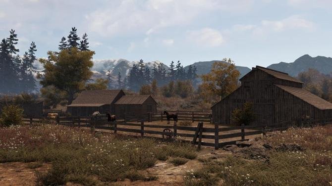 This Land Is My Land 
