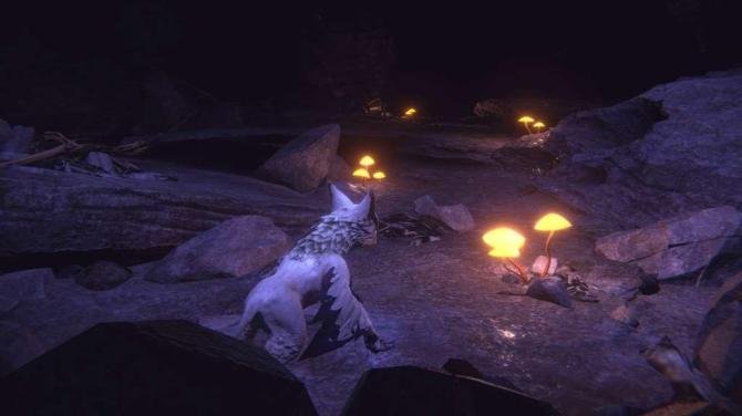 Embers of Mirrim 