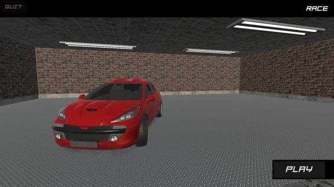 Race 