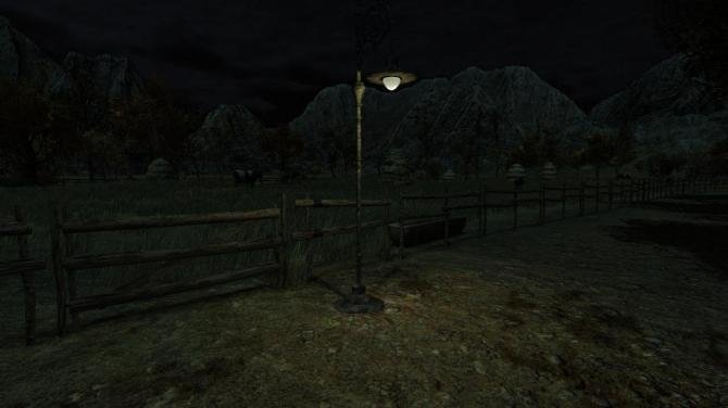The Cows Are Watching 