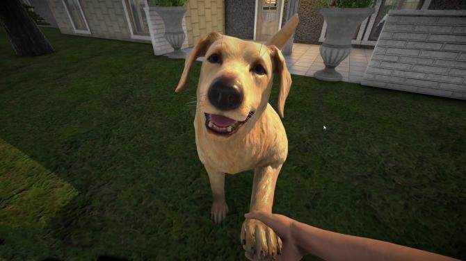Pets Hotel 